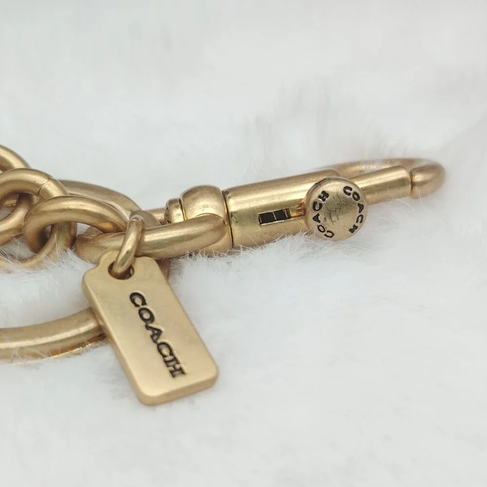 Coach cherry bag charm_6